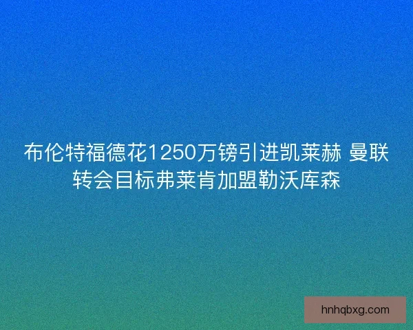 布伦特福德花1250万镑引进凯莱赫 曼联转会目标弗莱肯加盟勒沃库森